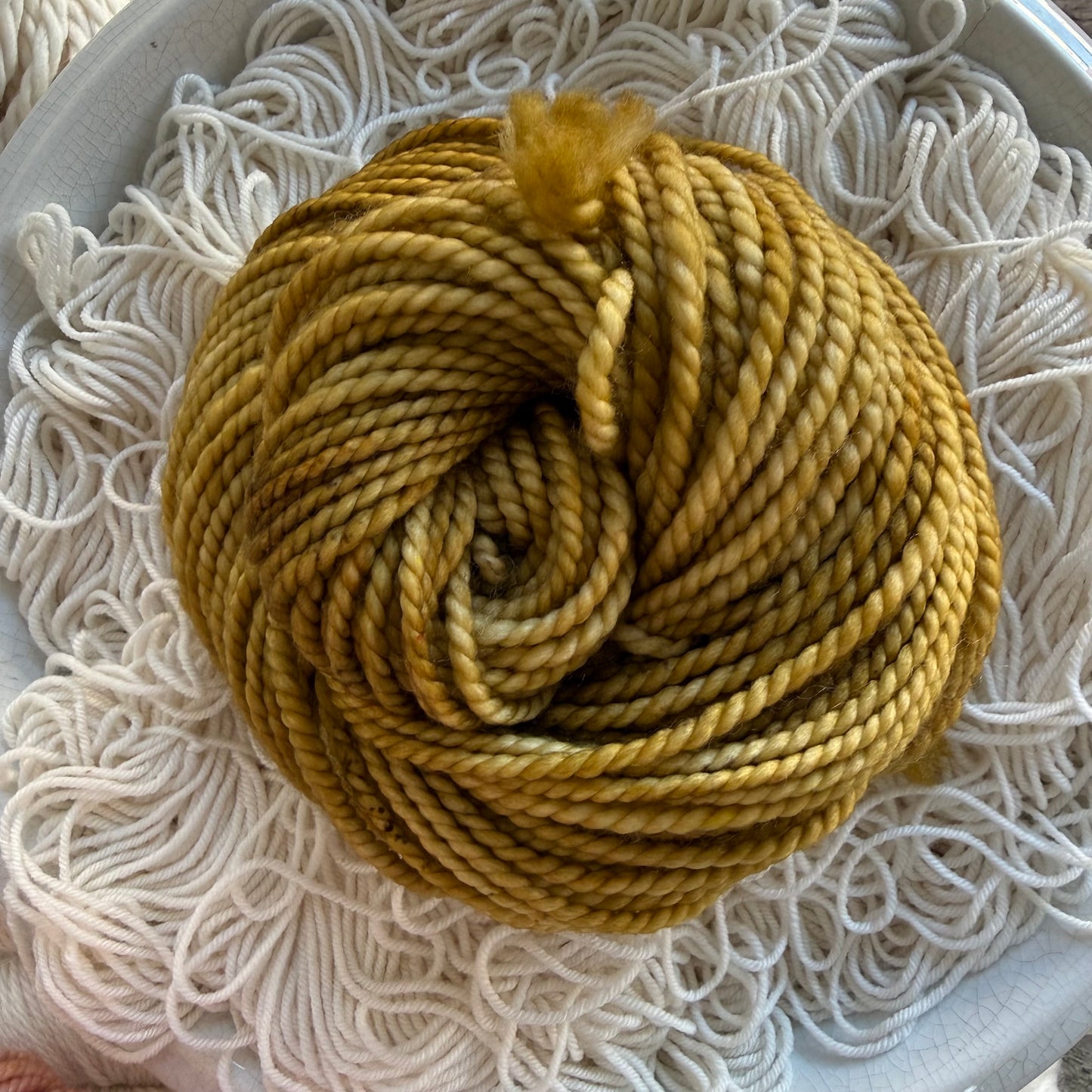 Golden Flax, Dyed To Order