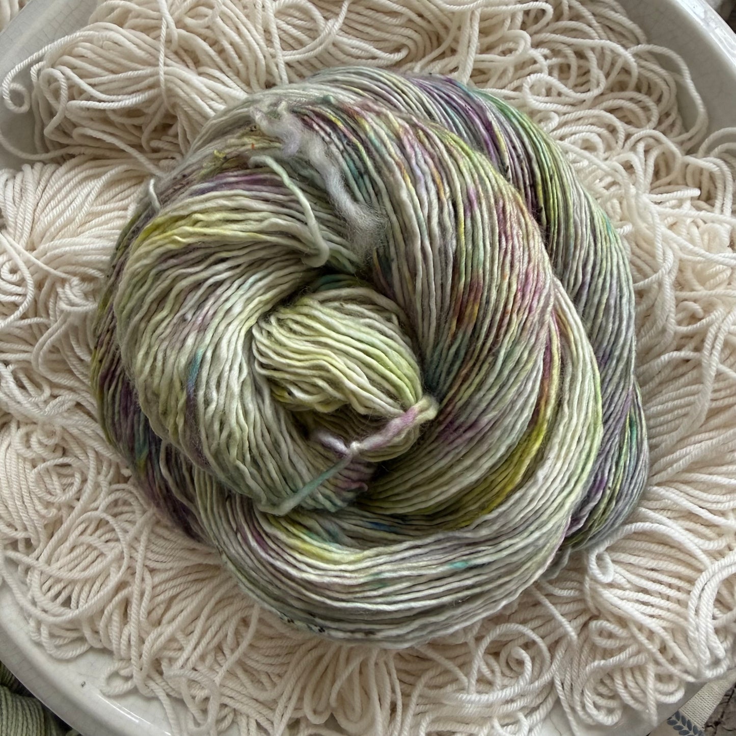 To The Gills, January 2026 Color of the Month