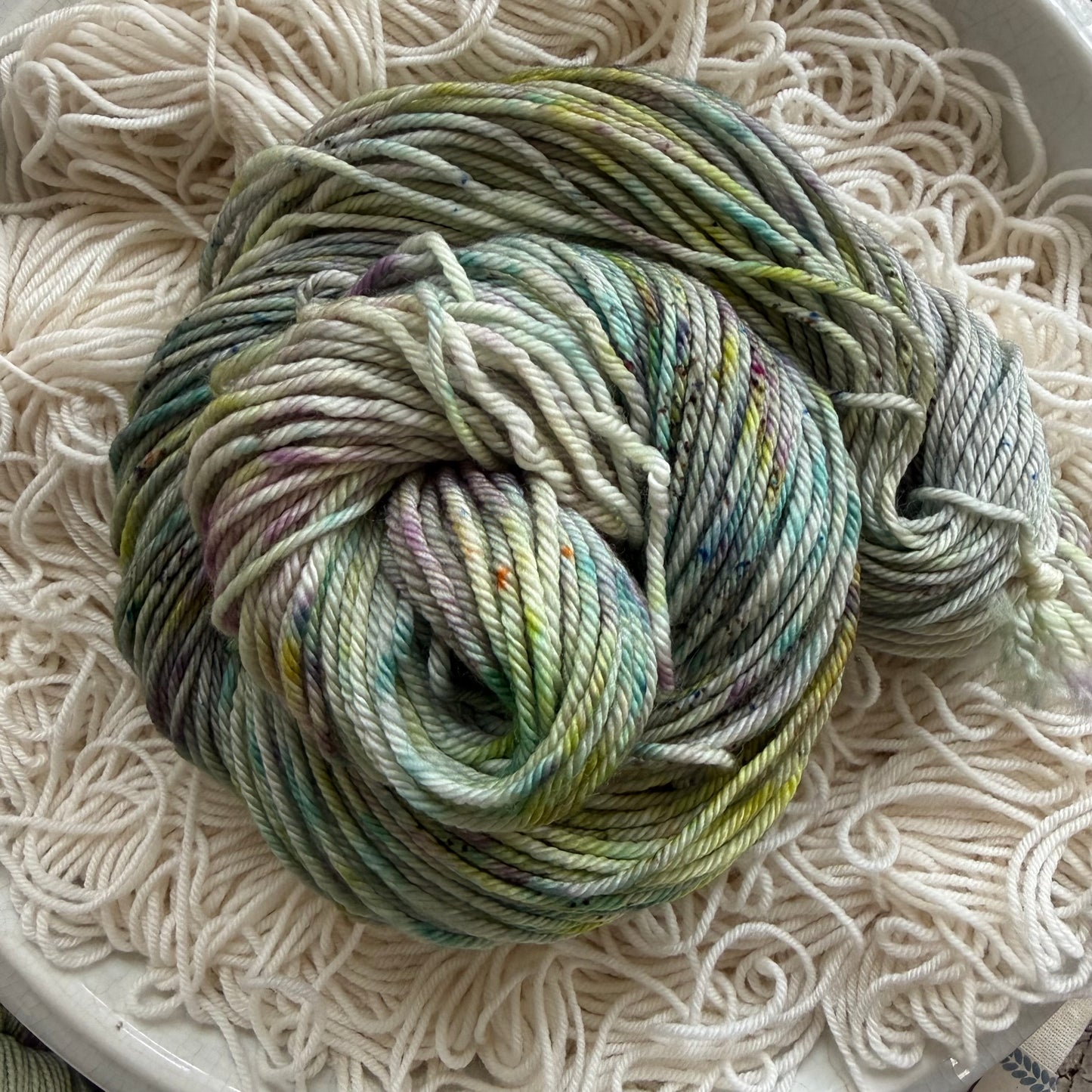 To The Gills, January 2026 Color of the Month